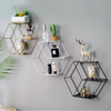 (Buy 1 Get 1) Nordic Style Simple Iron Hanging Ornaments Shelf