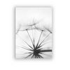 (Buy 1 Get 2) Modern Simple Black White Dandelion Canvas Decorative Painting For Living Room