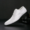 Men Fashion Pointed Toe Lace-Up Micro Leather Shoes