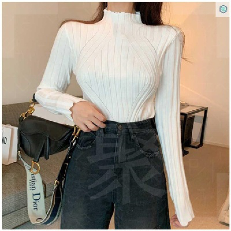 2 Pieces Women Fashion Basic Solid Color Long Sleeve Knitwear