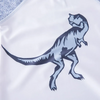 3 Pcs Boys Dinosaur Printed Swimsuit And Cap