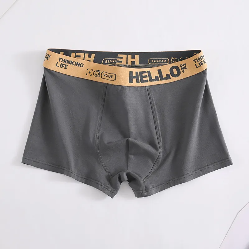 (Buy 1 Get 2) Men Fashion Casual Simple Letter Cotton Mid Waist Boxer Pants