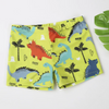 Kids Toddler Boy Fashion Boxer Swim Shorts