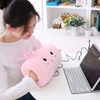 Usb Electric Heating Hand Warmer Cartoon Hand Warmer Pad Girl Warm Baby Warm Hand Plush Pillow Warm Hand Pillow