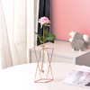 (Buy 1 Get 1) Creative Home Metal Geometric Vase Decoration