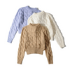 Casual Autumn Winter Solid Color Braided Long Sleeve Cropped Knitted Sweater