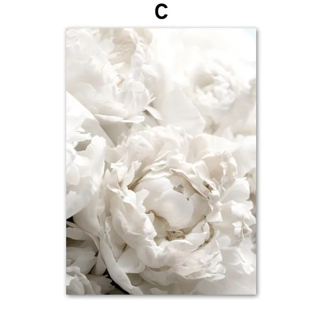 ( Buy 1 Get 2) Living Room Bedroom Background Wall Romantic White Peony Rose Painting Core