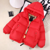 Kids Toddler Big Girls Boys Winter Fashion Casual Solid Color Zipper Stand Collar Hooded Down Coat