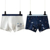 Boys Basic Cartoon Pattern Underwear