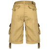 Geographical Norway Short