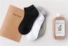 Kids Boys Mesh Thin White Socks