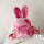 New Style Plush Bunny Ears Backpack Female Backpack