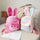 New Style Plush Bunny Ears Backpack Female Backpack