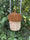 Small Back Basket Girls' Bag All-match Children's Backpack Rattan Bag