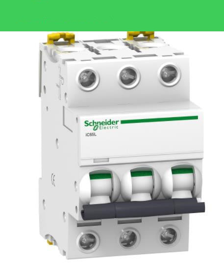 Schneider Mini Circuit Breaker