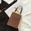 Simple Mini Clip Bag