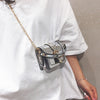 Wild Chain Crossbody Bag