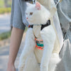 Cat Bag Go Out Portable Backpack Carry Pet Shoulders