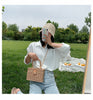 Paper rope iron frame woven bag new female bag