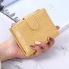 Wallet Women's Solid Color Simple Zipper Multi Slot Large Capacity