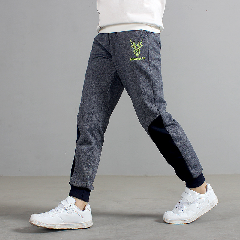 Boys Casual Deer Head Pattern Drawstring Waist Pocket Jogger Pants