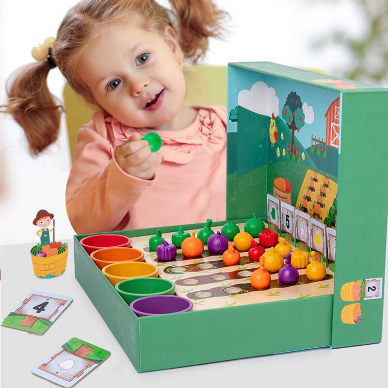 Kids Creative Fruit And Vegetable Classification Educational Toy