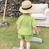 Children Kids Baby Fashion Boys Solid Color Lapel Shirt And Shorts 2pcs Set