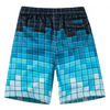 Man's Quick Dry Trendy Plaids Swimming Shorts