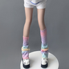 Women Casual Multicolor Gradient Knit Leg Warmers