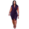 Plus Size Women'S Tie Pleated Dress