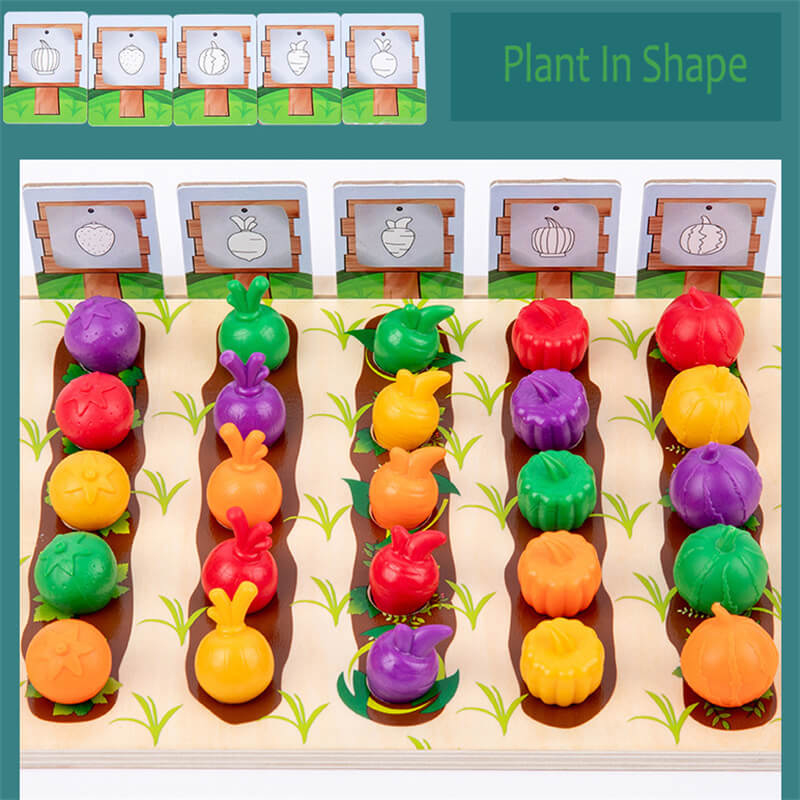 Kids Creative Fruit And Vegetable Classification Educational Toy