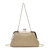 Crossbody Net Red Dinner Clip Chain Bag